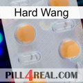 Hard Wang 24